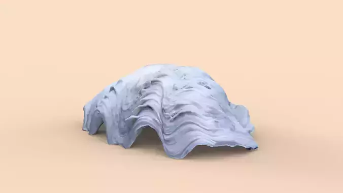Sea shell - Tridacna 3D scan