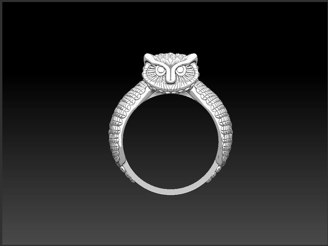 Owl hip hop Ring 3D print model_13