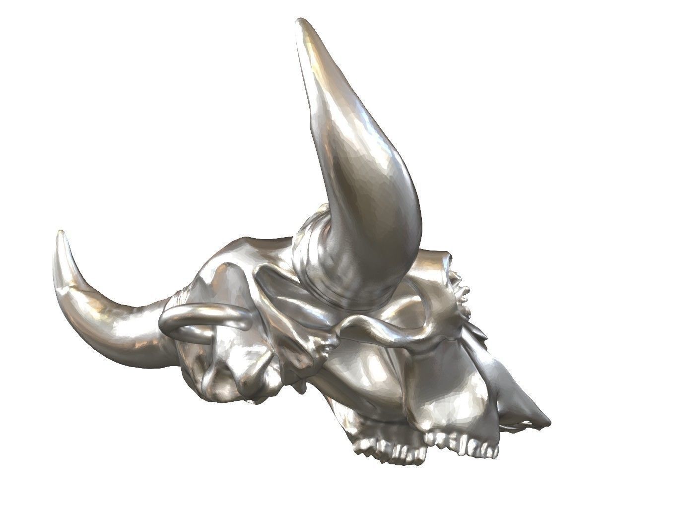 Cranium Charm Bison 3D print model_5
