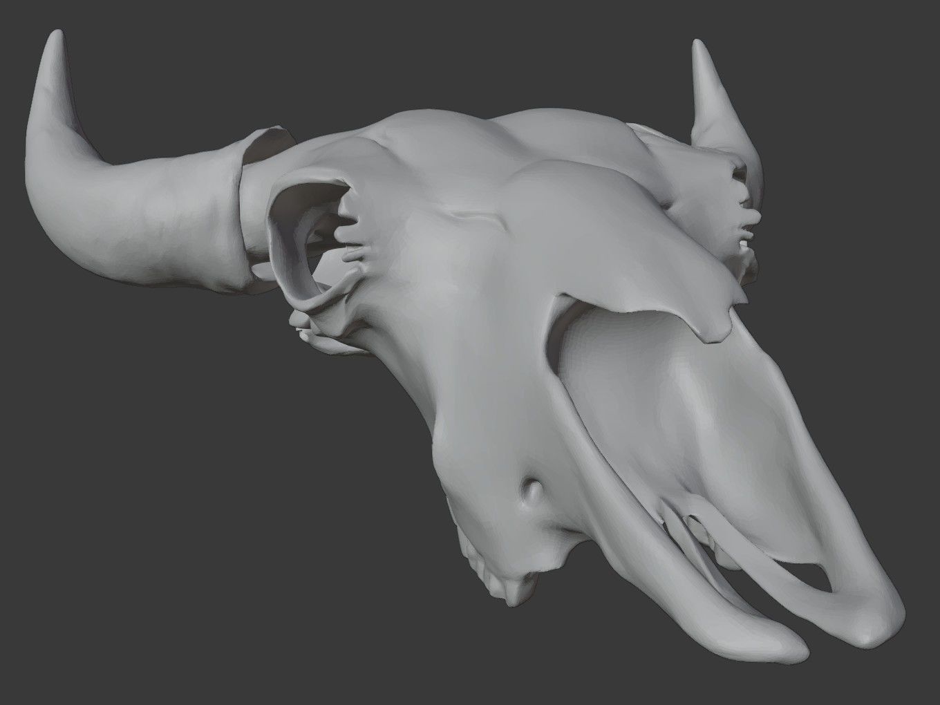 Cranium Charm Bison 3D print model_12