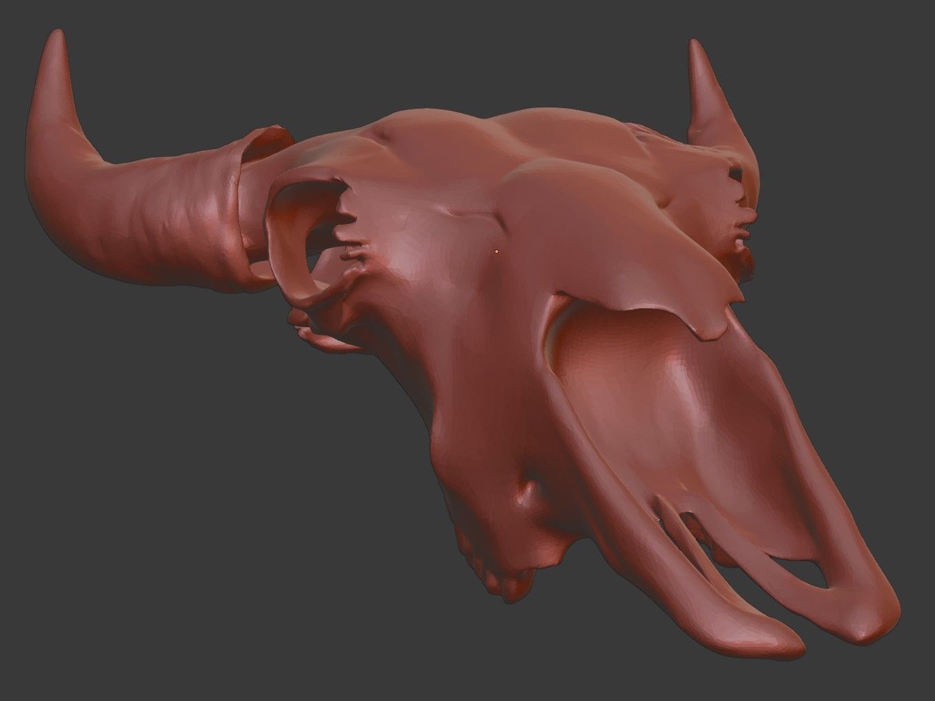 Cranium Charm Bison 3D print model_15