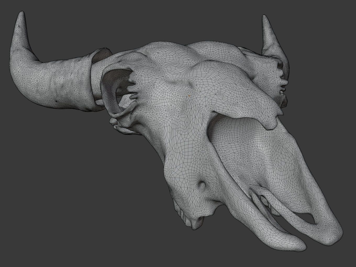 Cranium Charm Bison 3D print model_13
