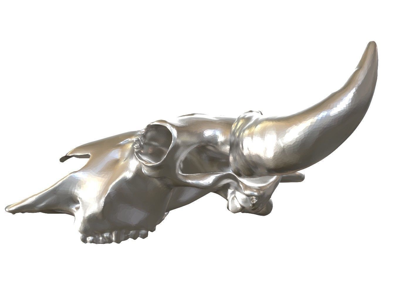 Cranium Charm Bison 3D print model_8