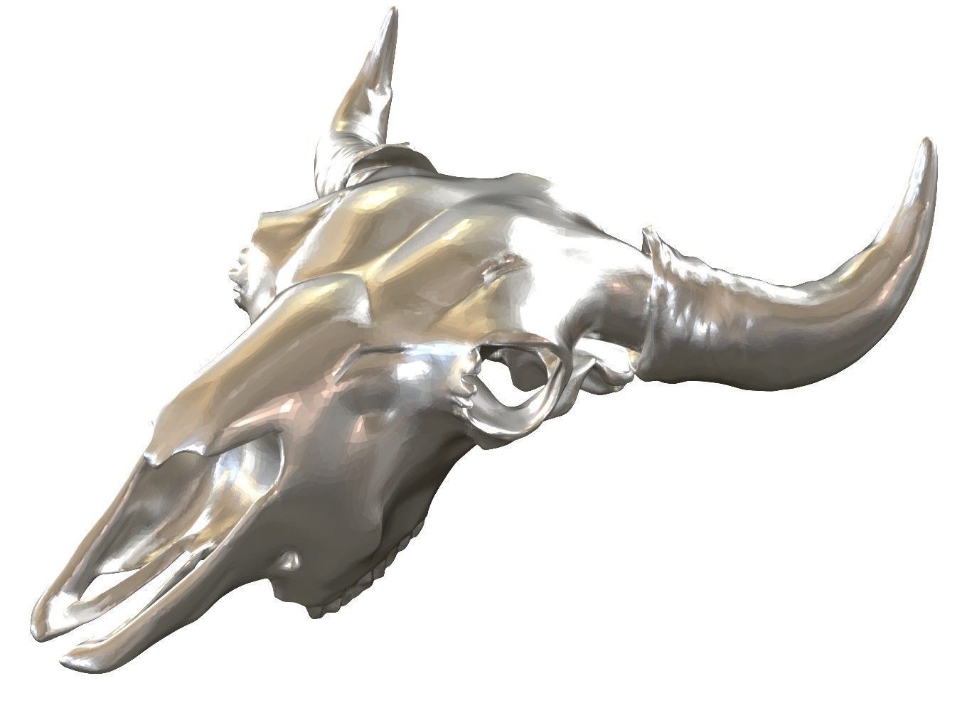 Cranium Charm Bison 3D print model_9