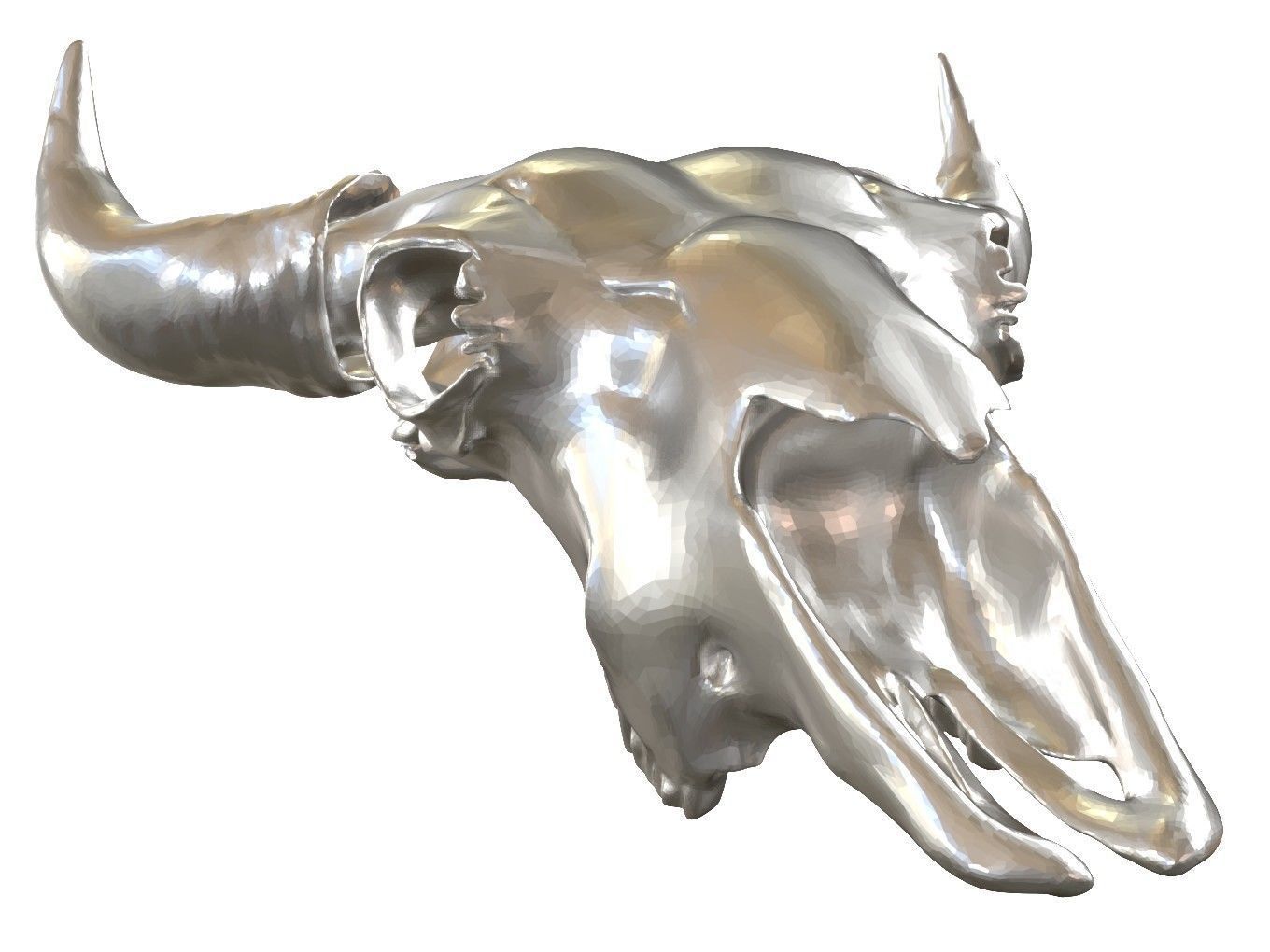 Cranium Charm Bison 3D print model_11