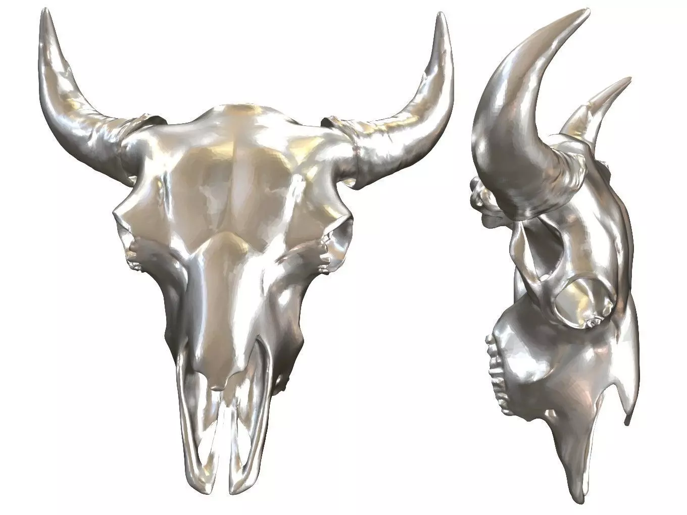 Cranium Charm Bison 3D print model_0