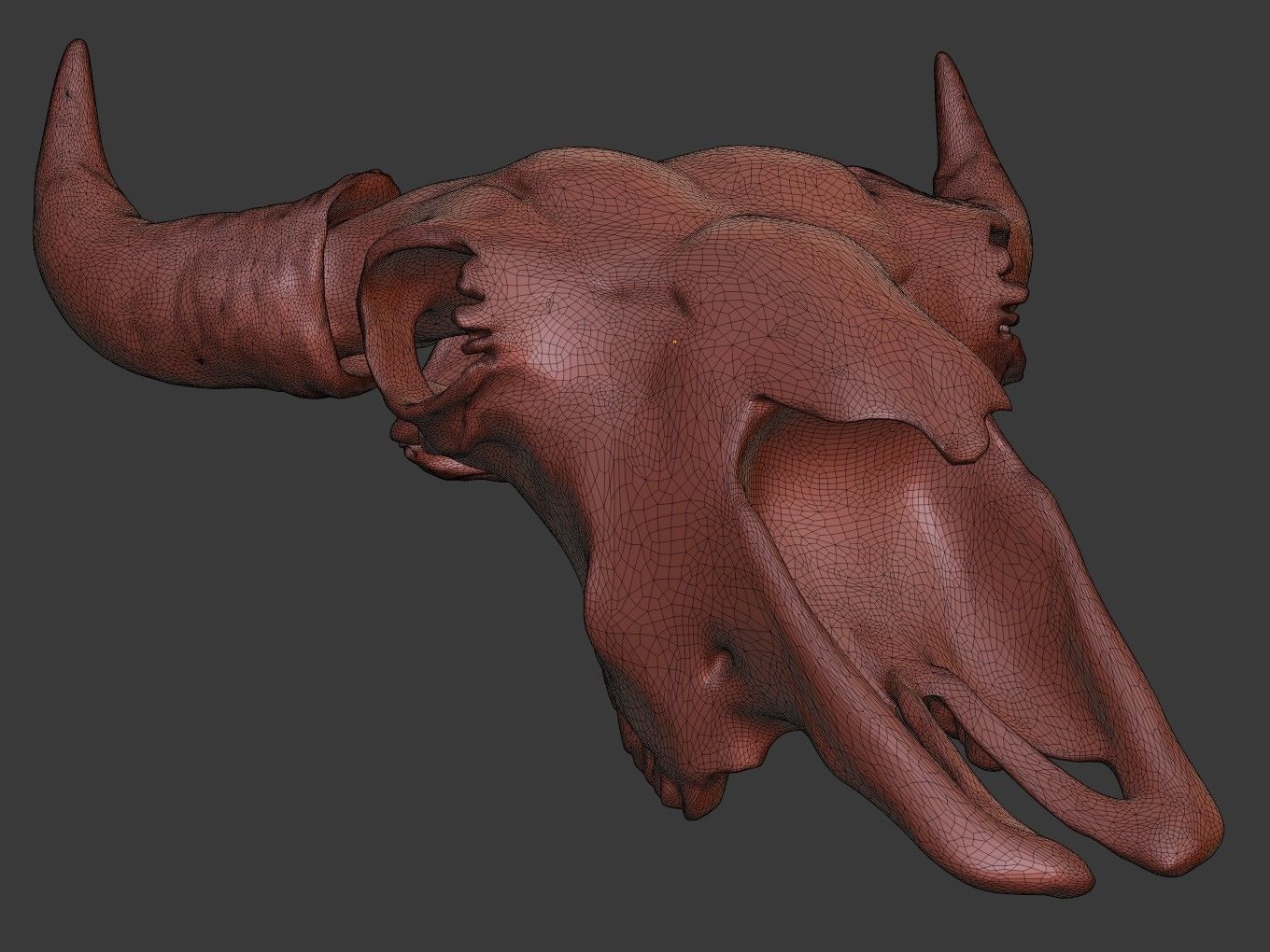 Cranium Charm Bison 3D print model_14