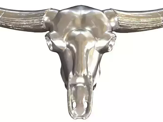 Cranium Charm Bison Latifrons