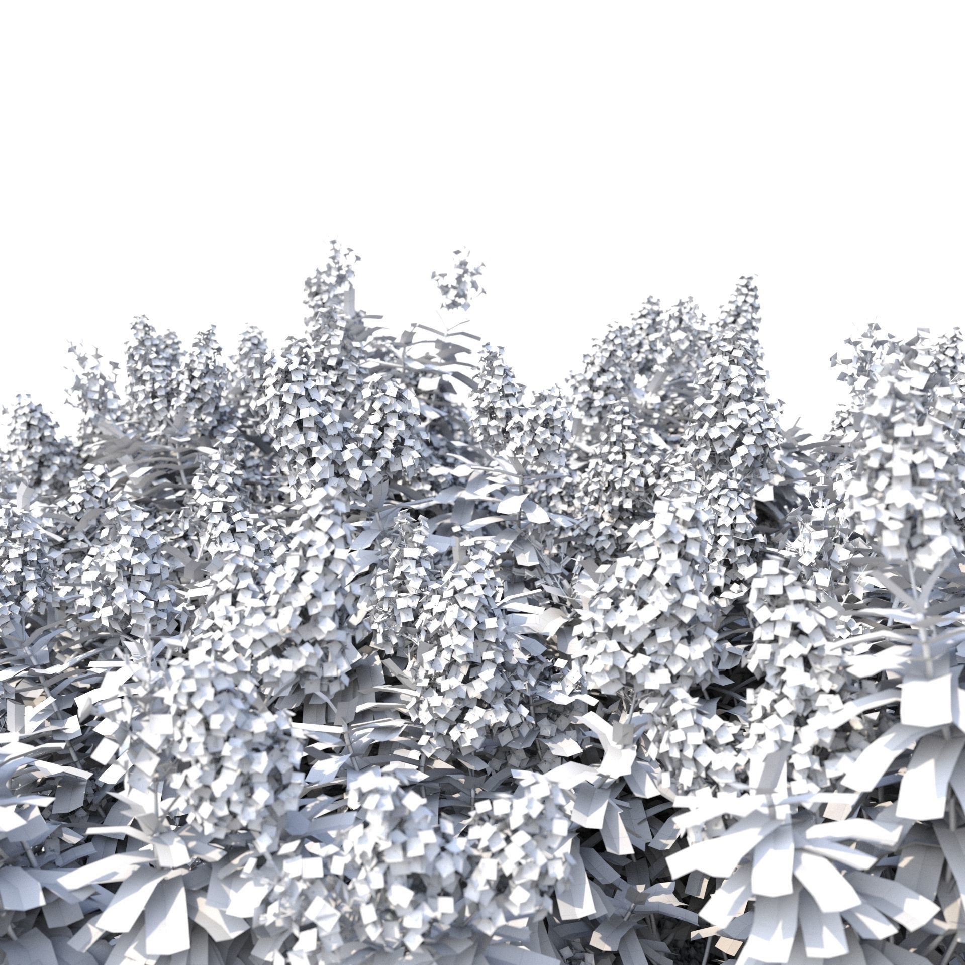 Crape myrtle No 2 with flowers 3D model_9