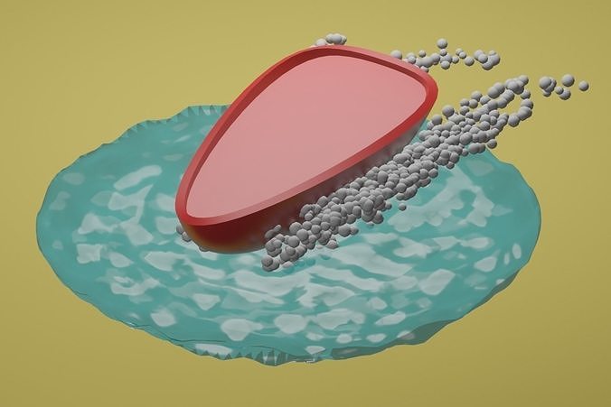 Boat animation stylized Low-poly 3D model