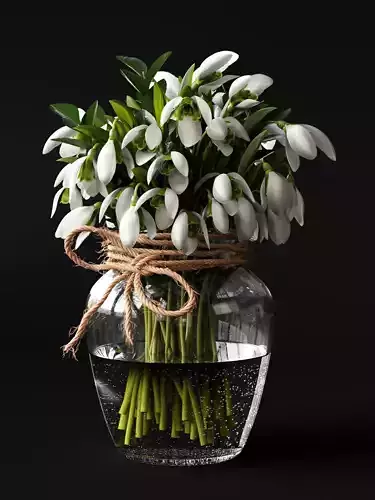 Snowdrop Plant 3D model Snowdrop Plant 3D model