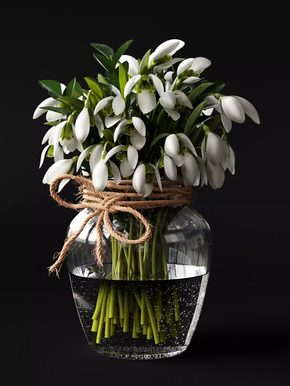 Snowdrop Plant 3D model_0