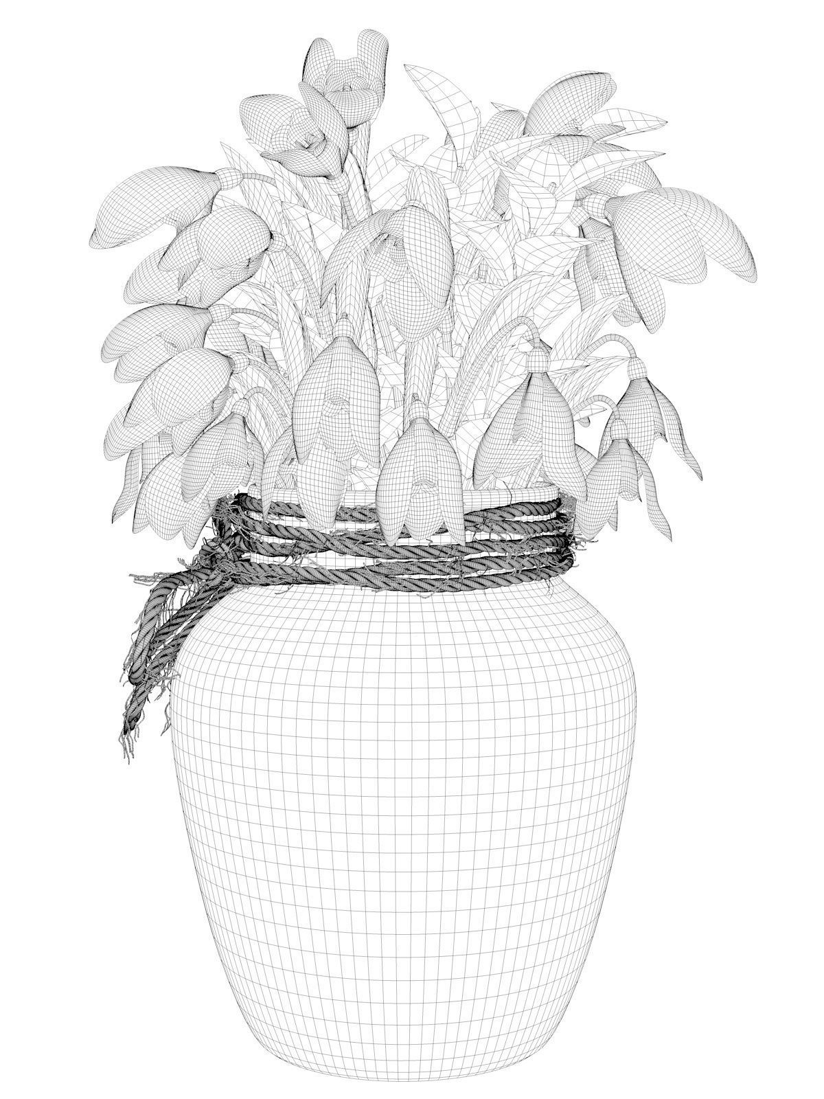 Snowdrop Plant 3D model_9