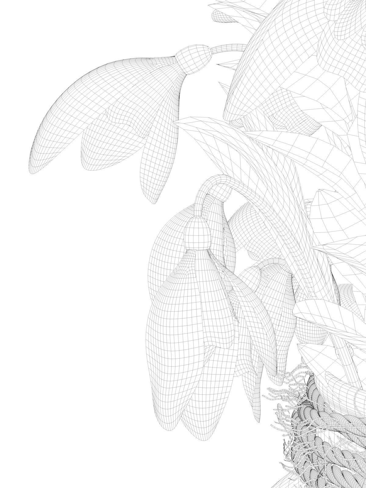 Snowdrop Plant 3D model_10