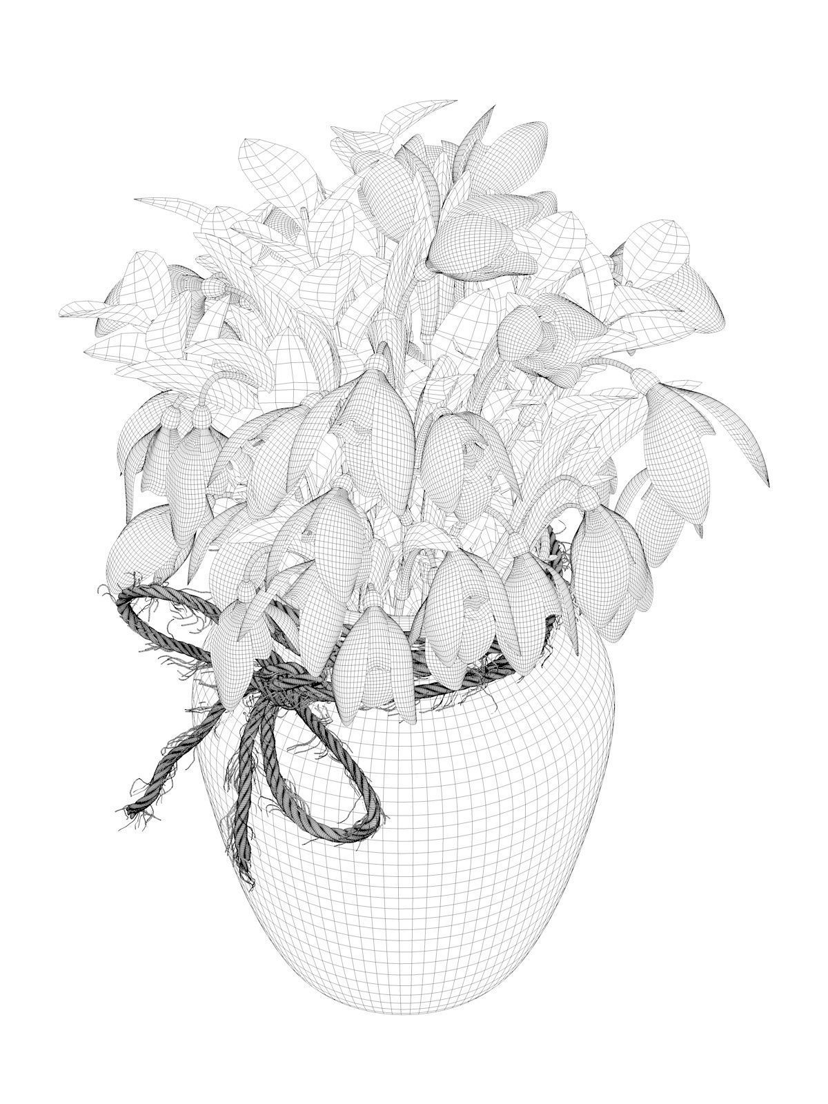 Snowdrop Plant 3D model_8