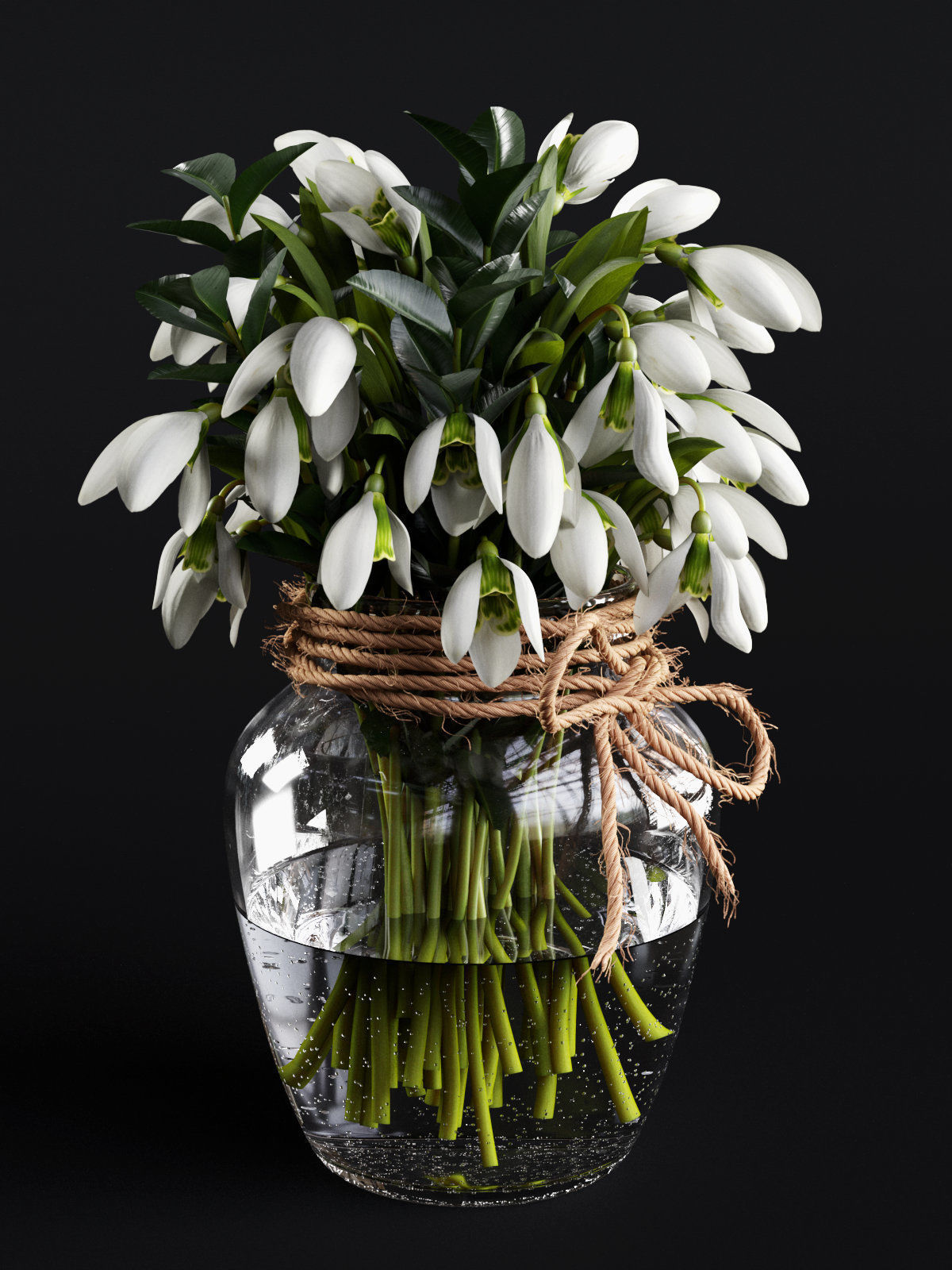 Snowdrop Plant 3D model_2