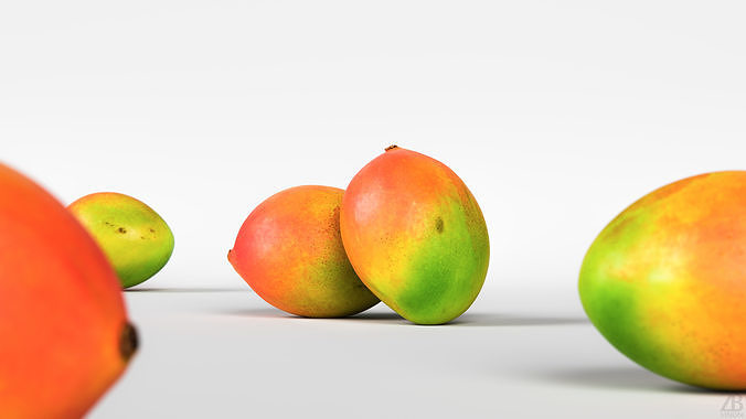 Mango 3D model 2