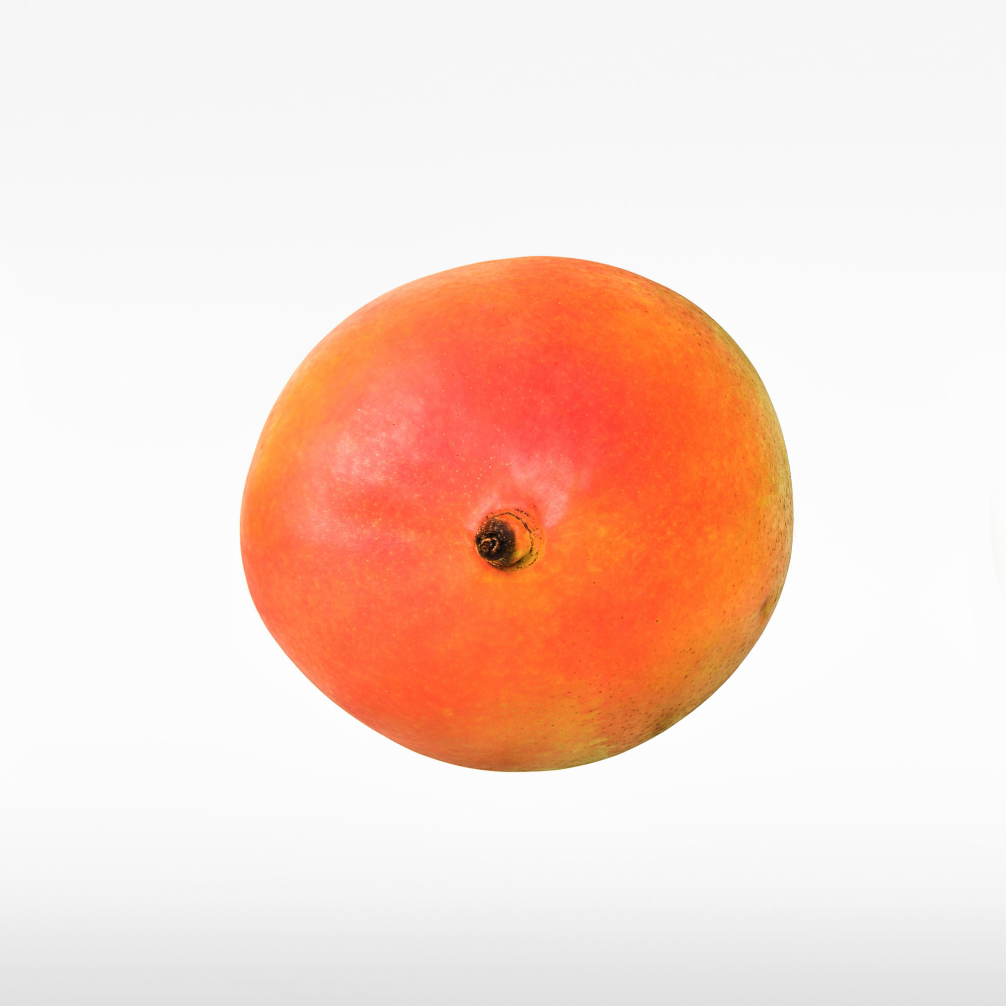 Mango 3D model_6