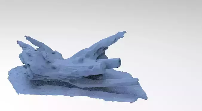 Wooded Log 3D model