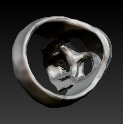 Skull ring 3D print model_7