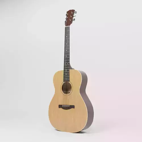 Acoustic Guitar