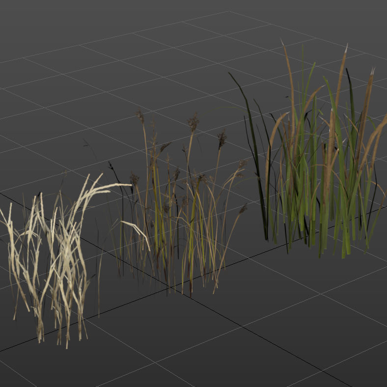 Grass Collection 6 grassy field with Low-poly 3D model_3