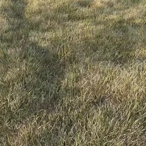 Grass Collection 6 grassy field with