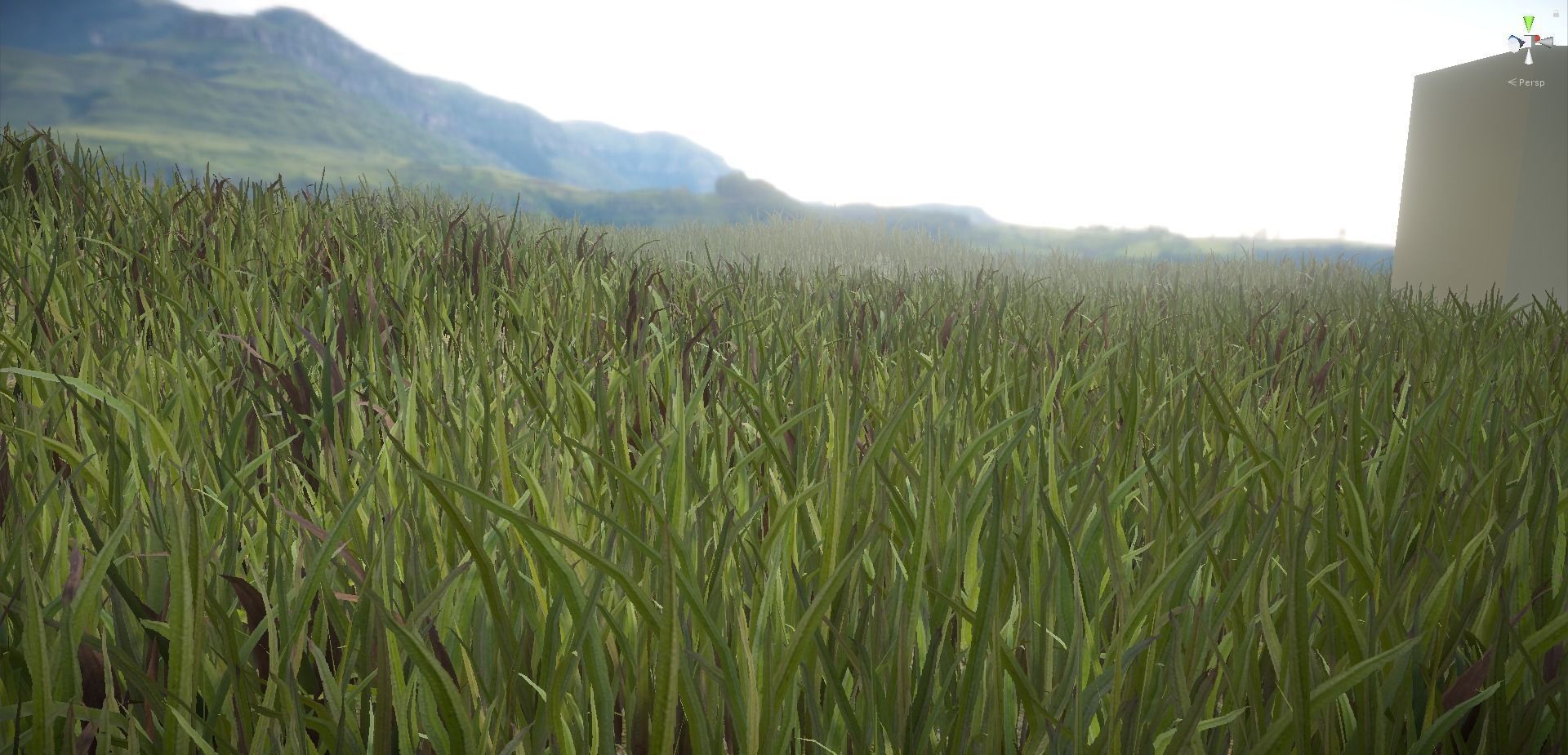 Unity Grass Collection v1  Low-poly 3D model_14