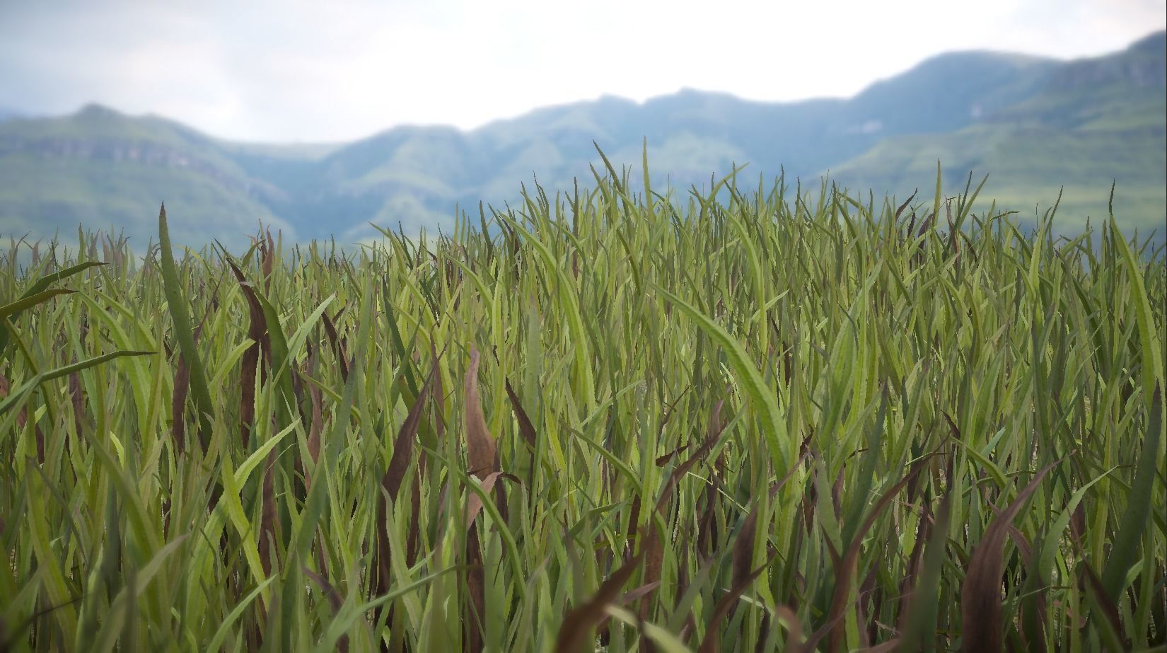 Unity Grass Collection v1  Low-poly 3D model_7