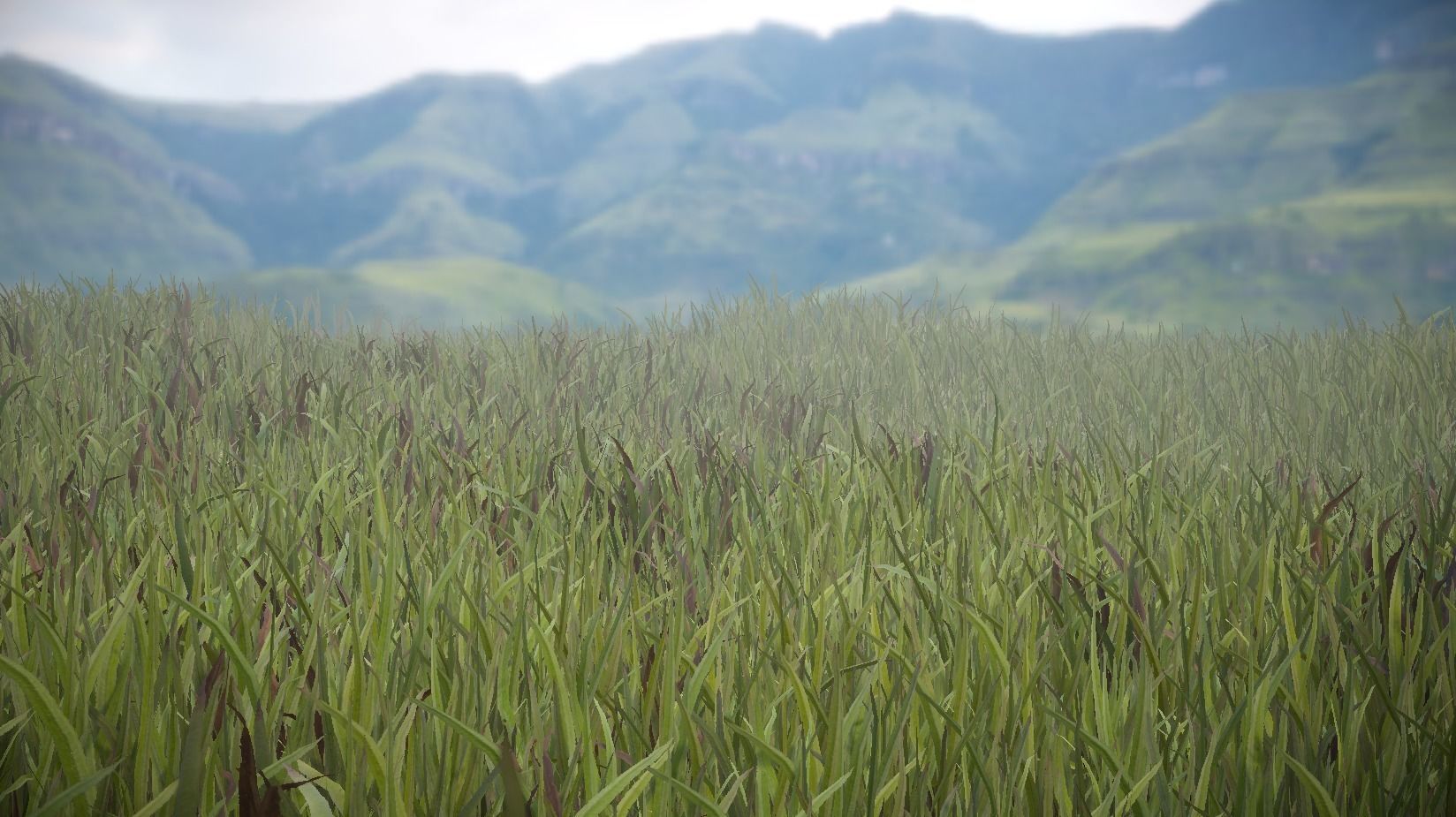 Unity Grass Collection v1  Low-poly 3D model_4