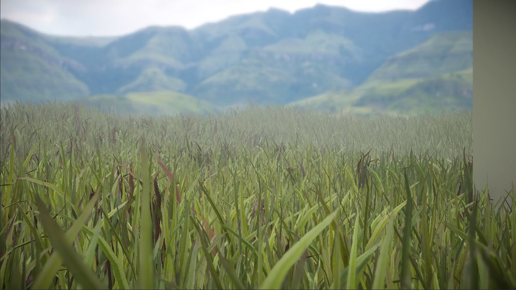 Unity Grass Collection v1  Low-poly 3D model_3