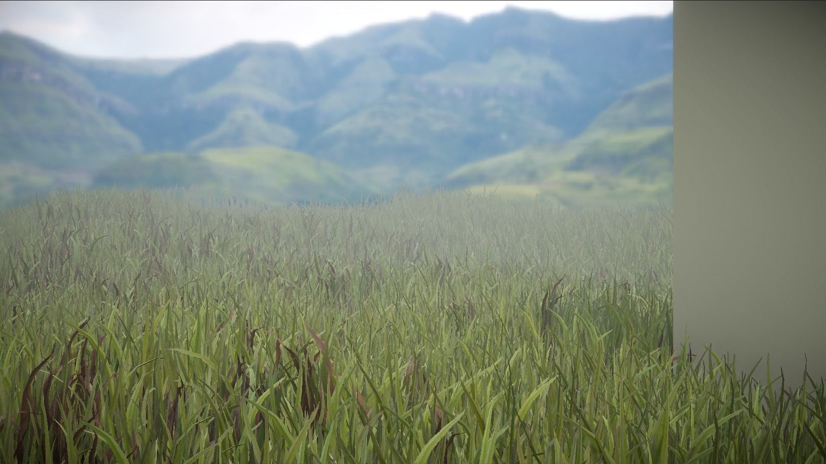 Unity Grass Collection v1  Low-poly 3D model_2
