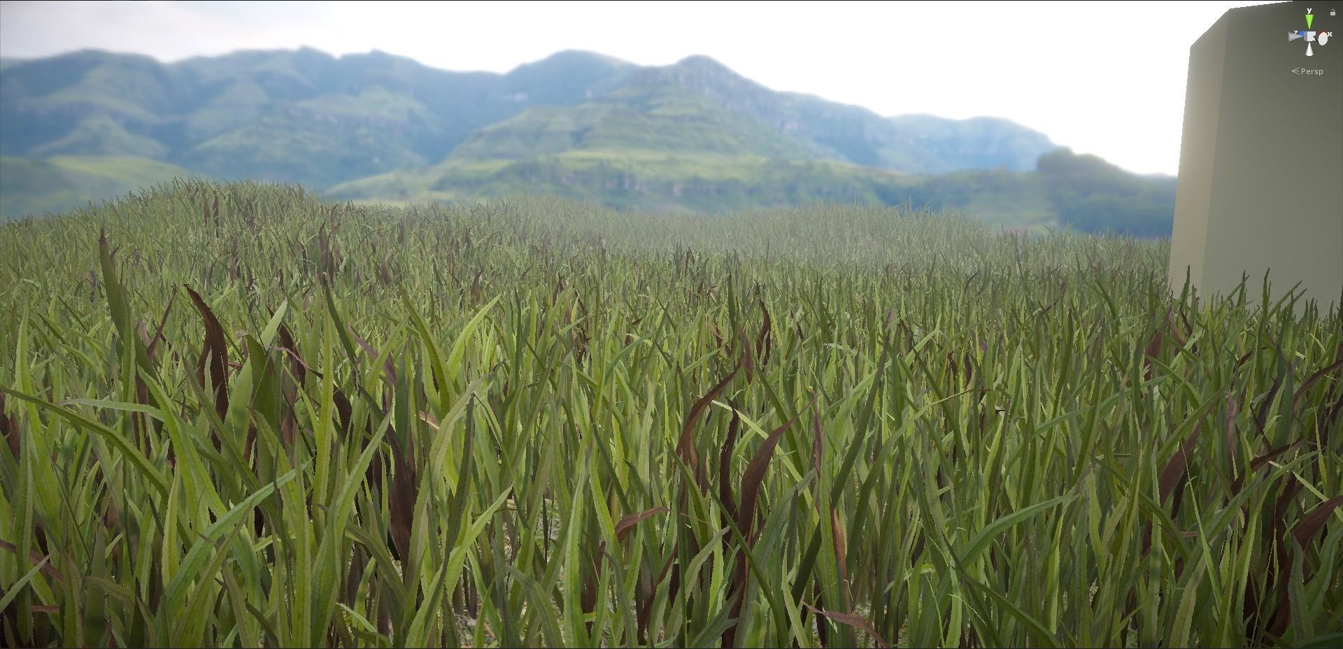 Unity Grass Collection v1  Low-poly 3D model_10