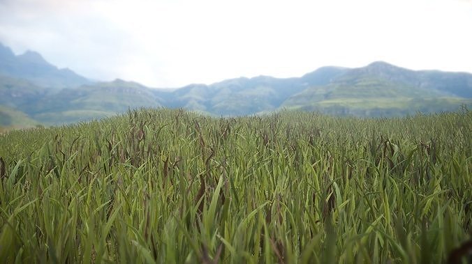  Unity Grass Collection v1  Low-poly 3D model