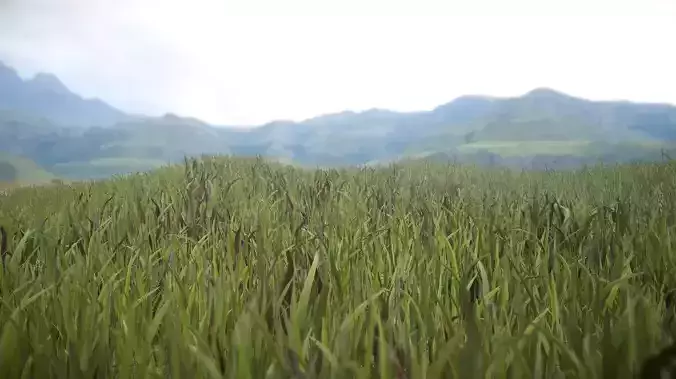  Unity Grass Collection v1  Low-poly 3D model