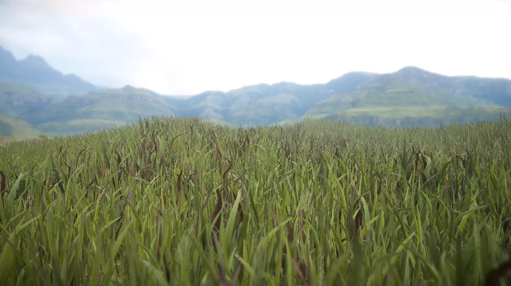 Unity Grass Collection v1  Low-poly 3D model_0