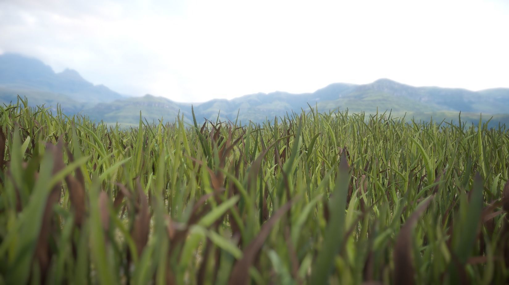 Unity Grass Collection v1  Low-poly 3D model_8