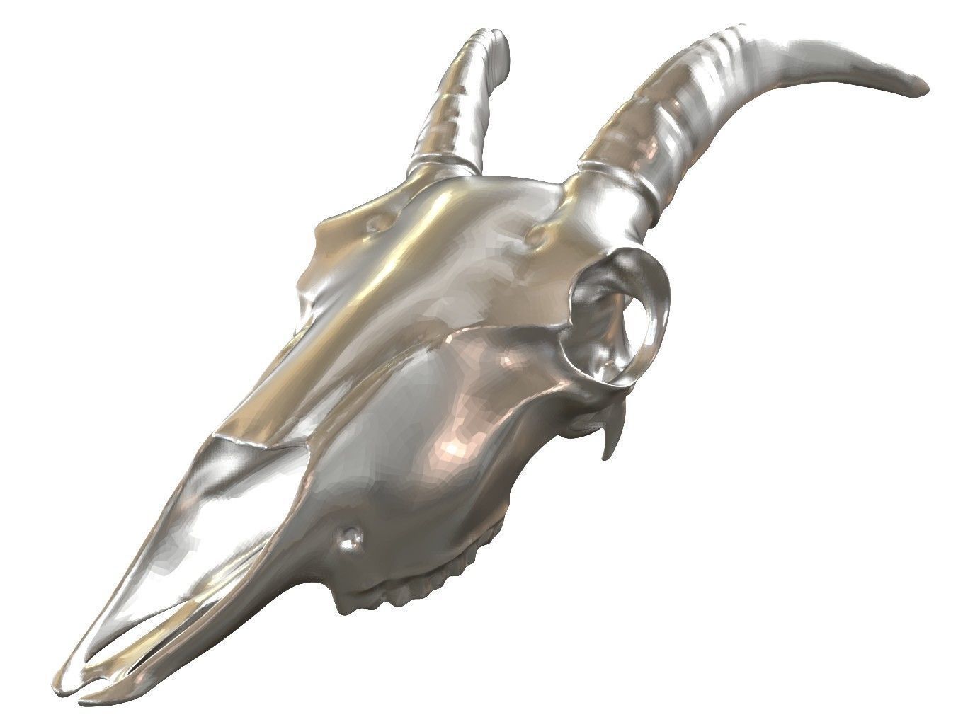Cranium Charm Goat 3D print model_6