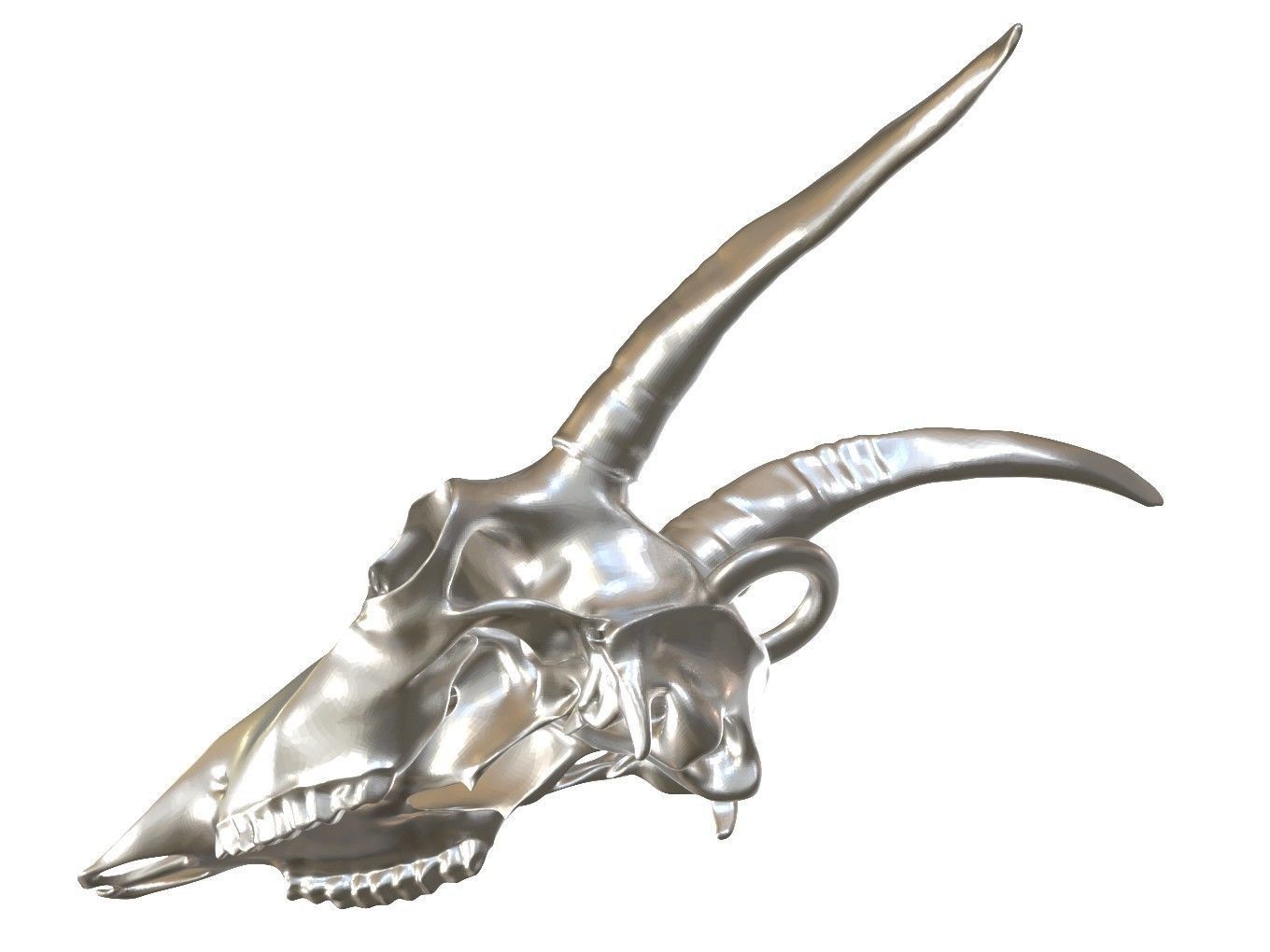 Cranium Charm Goat 3D print model_4