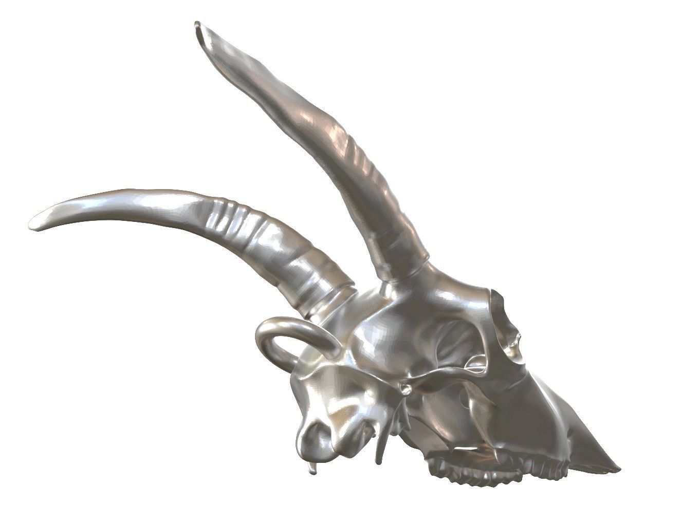 Cranium Charm Goat 3D print model_3