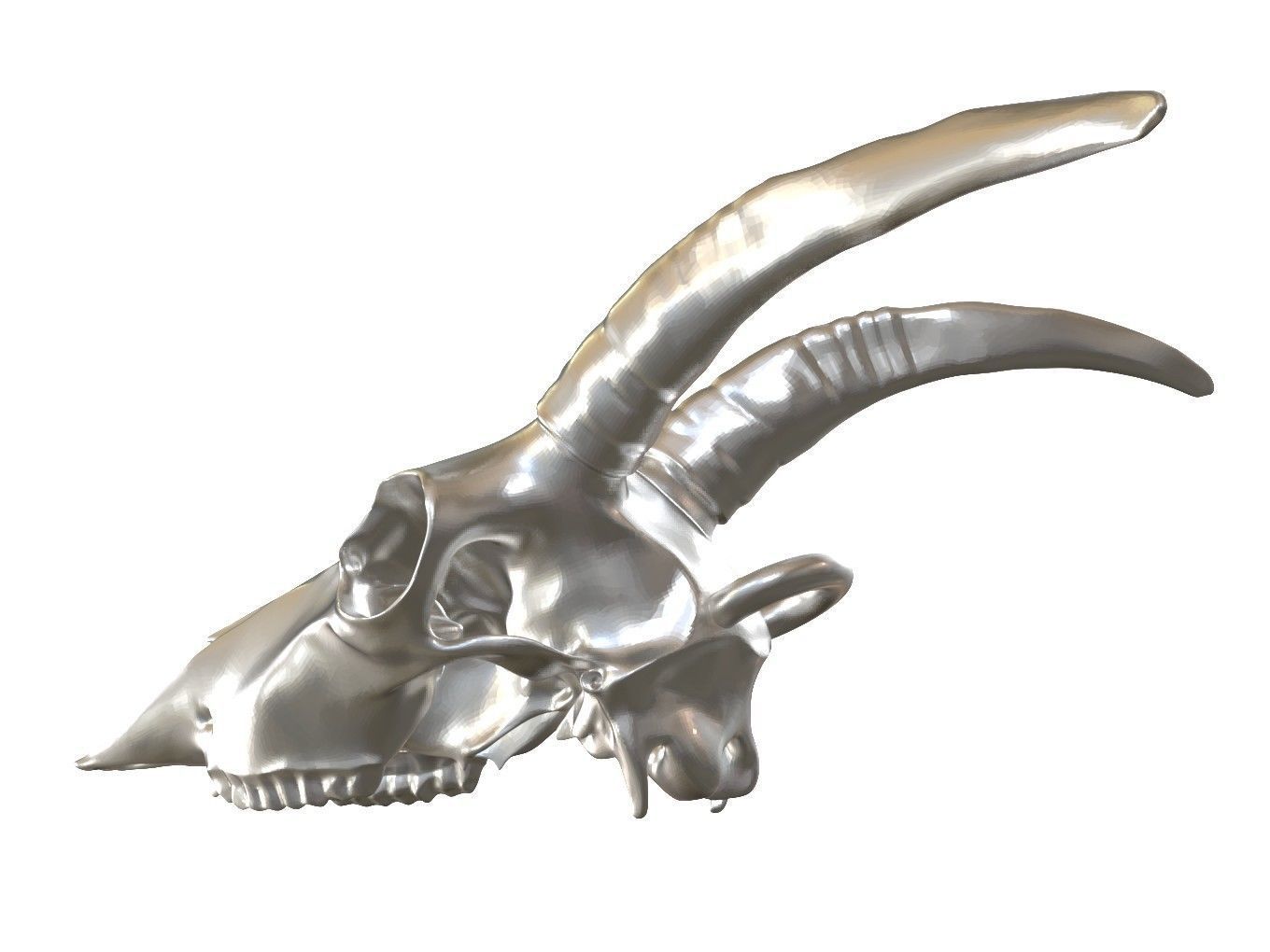 Cranium Charm Goat 3D print model_9
