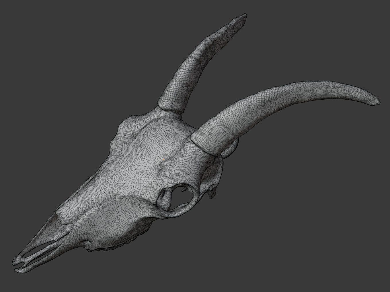 Cranium Charm Goat 3D print model_12