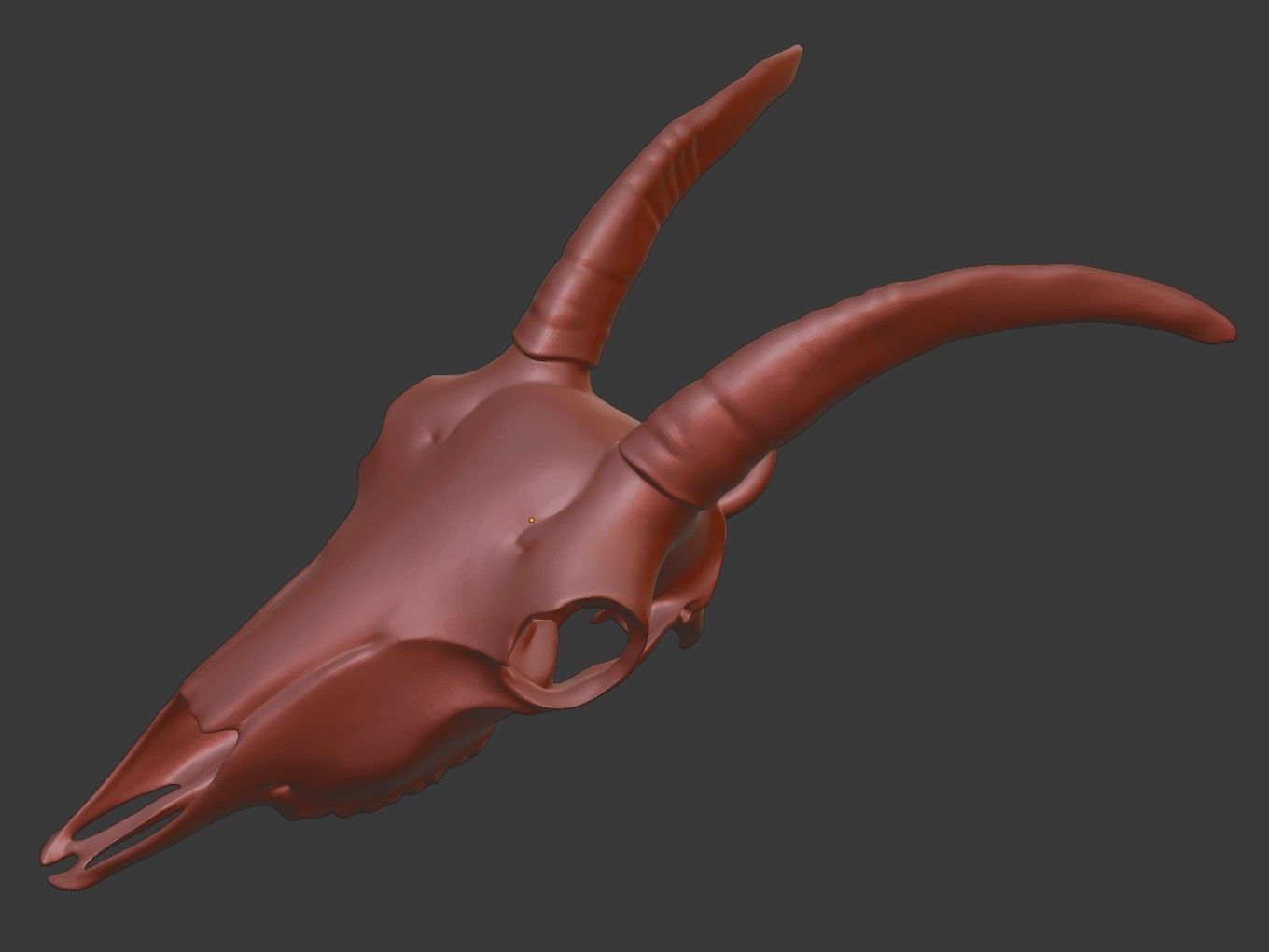 Cranium Charm Goat 3D print model_14