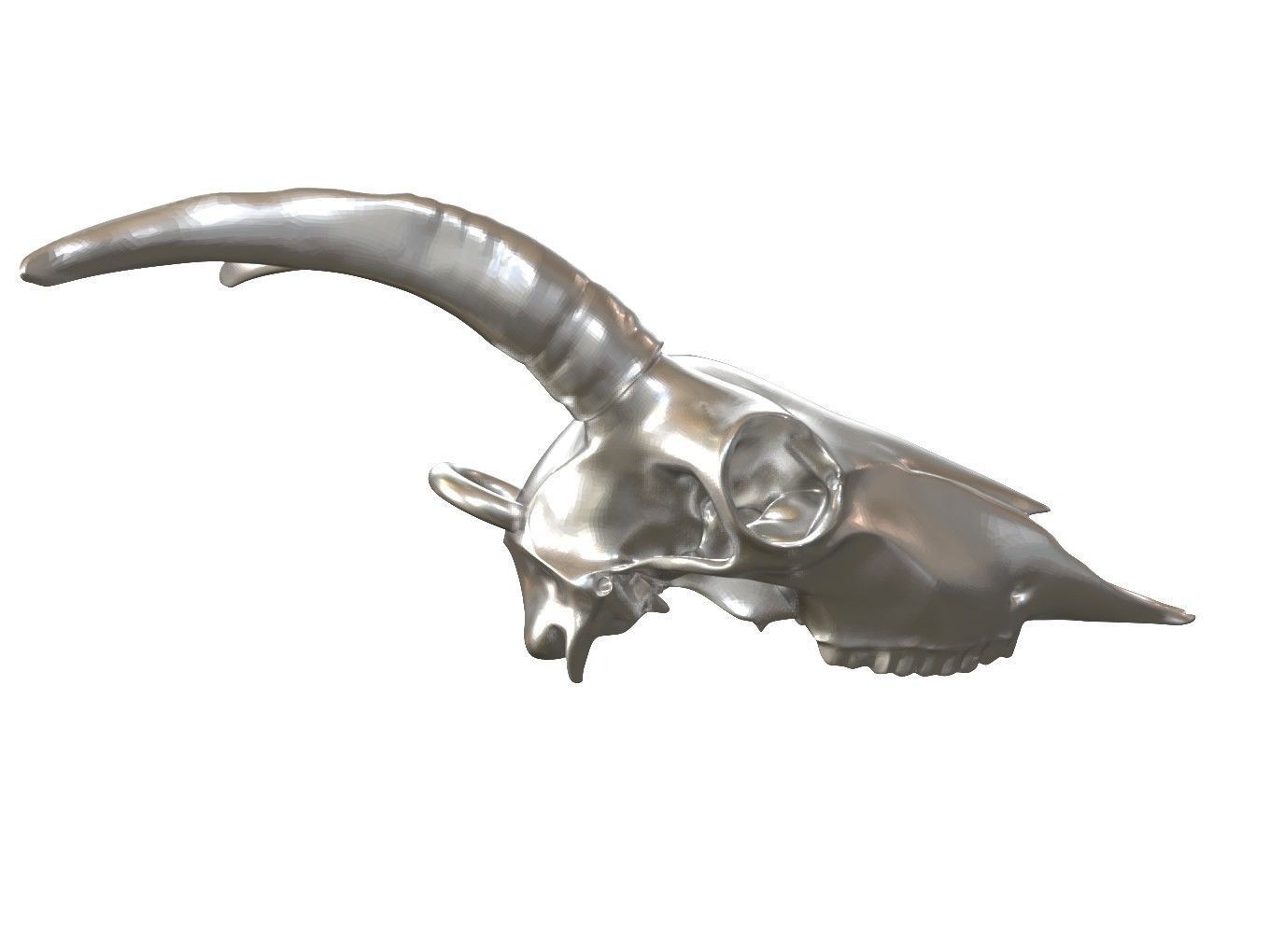 Cranium Charm Goat 3D print model_1