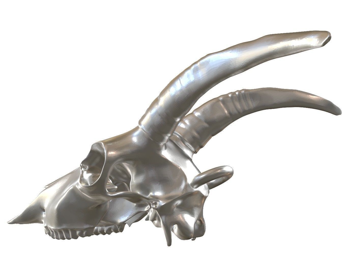 Cranium Charm Goat 3D print model_5