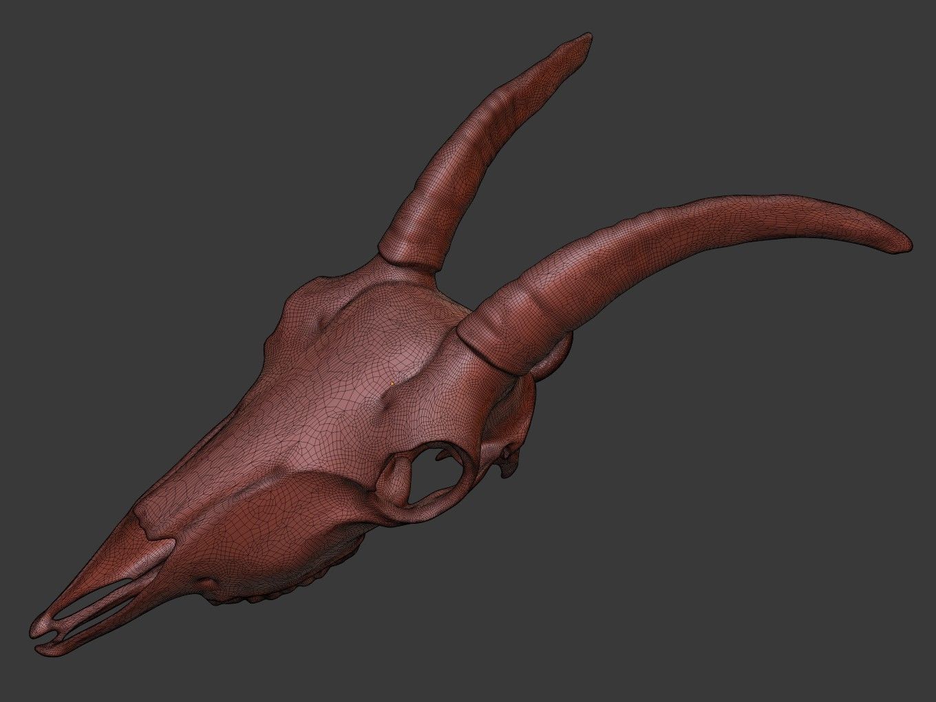 Cranium Charm Goat 3D print model_13