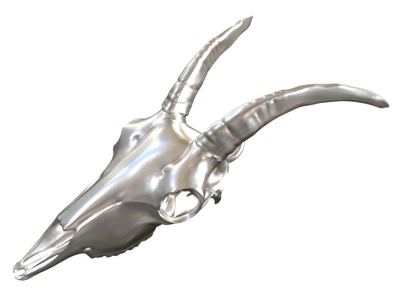 Cranium Charm Goat 3D print model_10