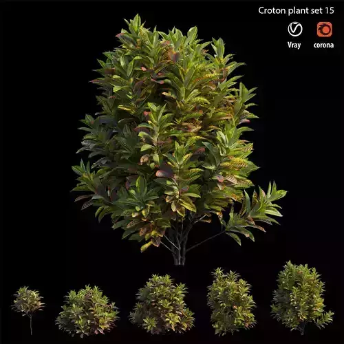 Croton plant set 15 3D model