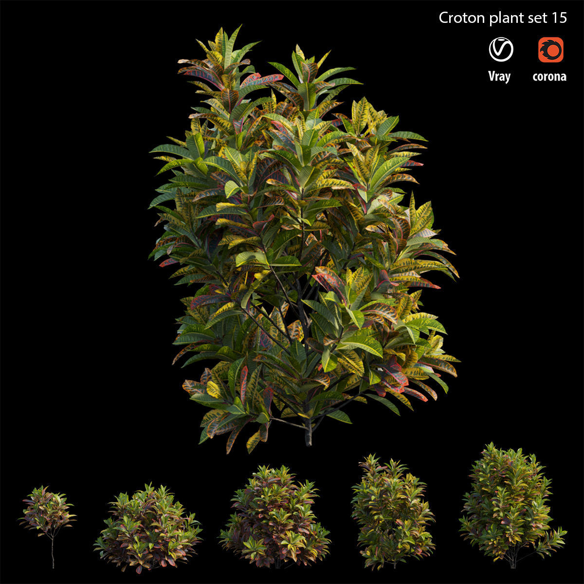 Croton plant set 15 3D model_1