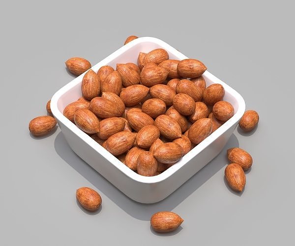 Pecan  3D model